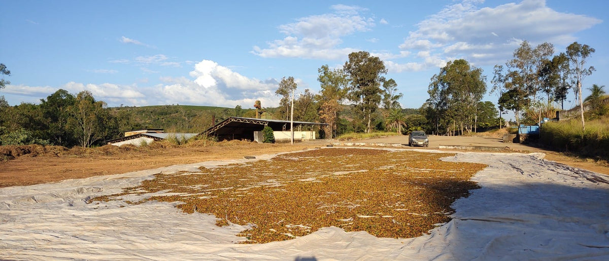 Fazenda Matao
