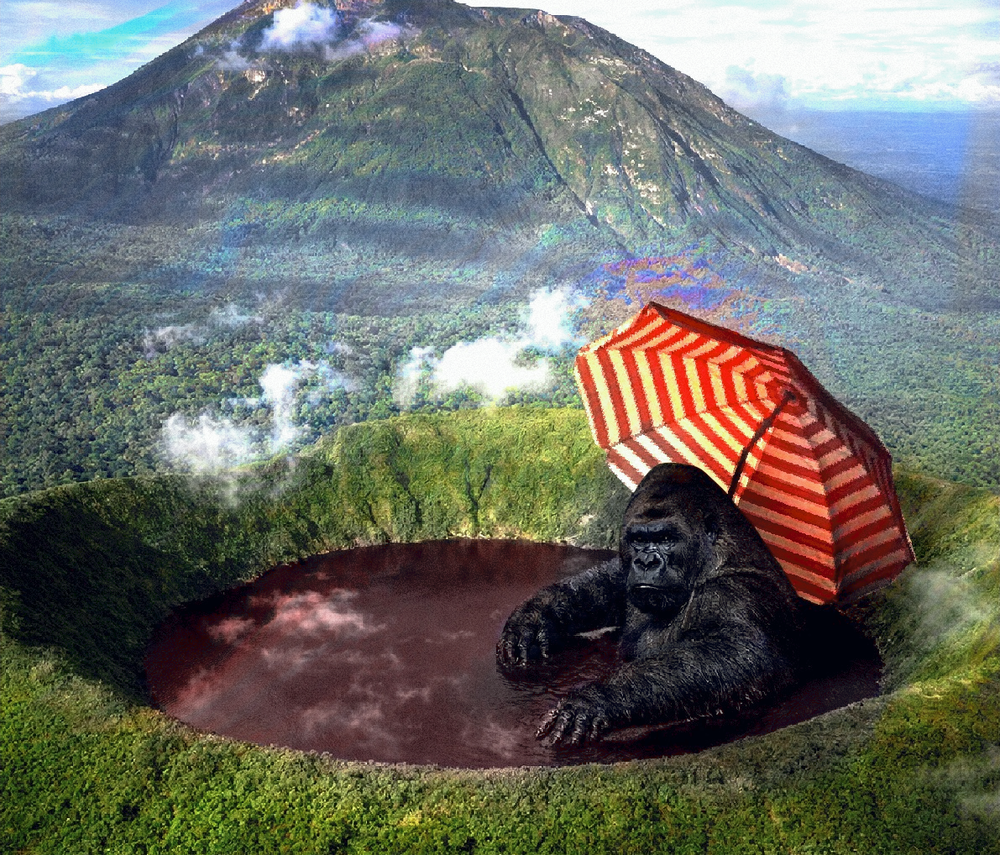 Bisoke - Rwanda -