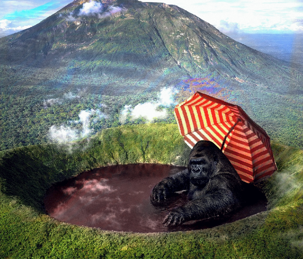 Bisoke - Rwanda -