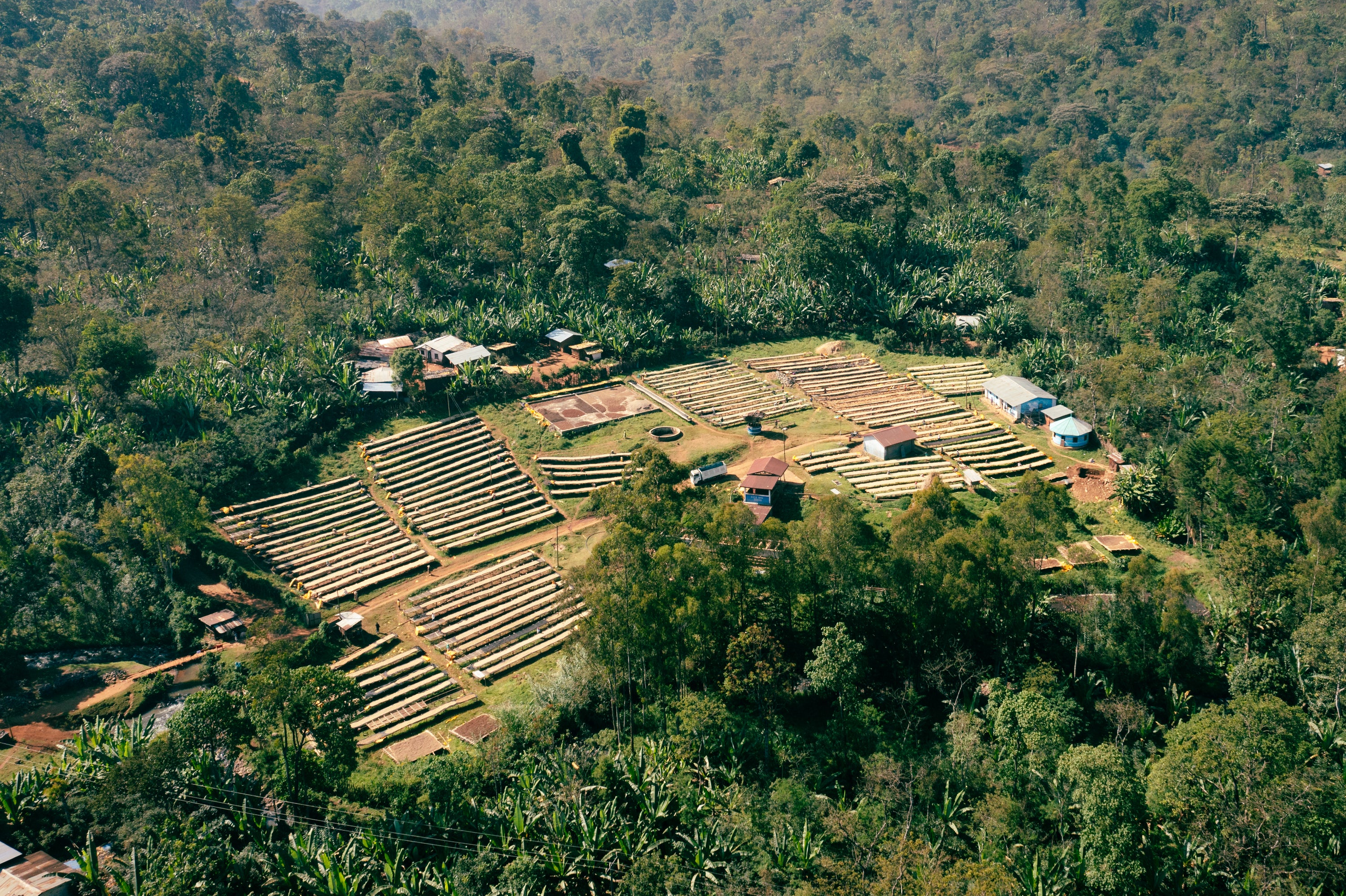 Lalesa - Ethiopia