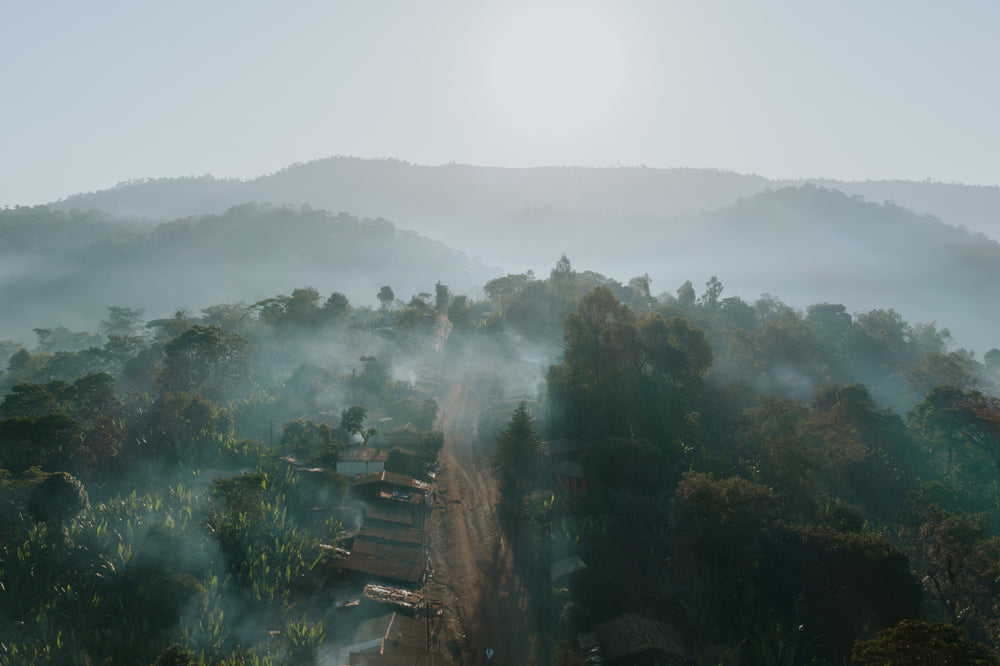 Lalesa - Ethiopia