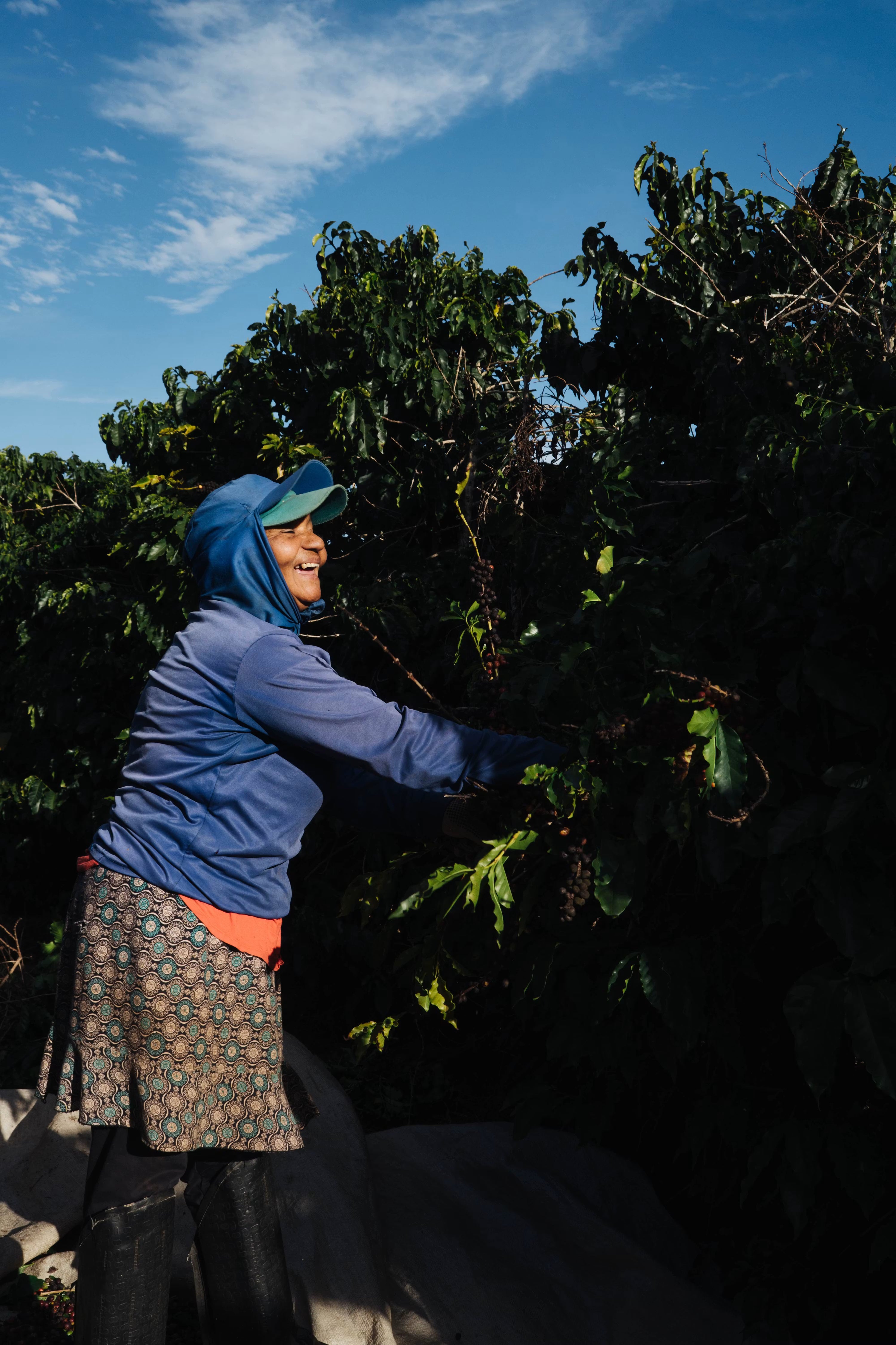 Fazenda Matao - Brazil