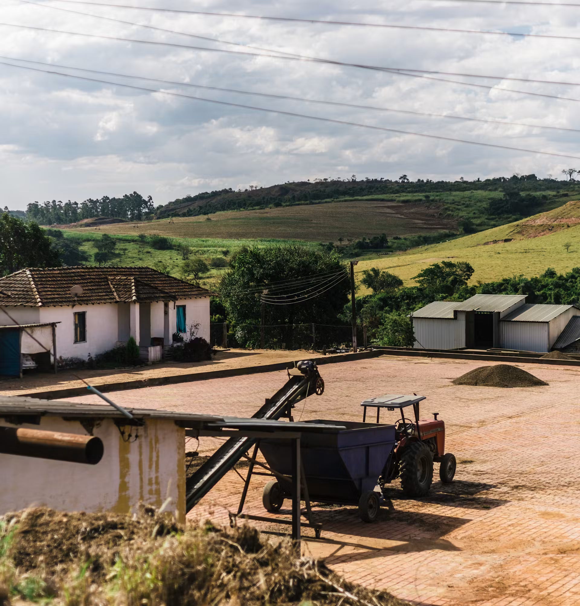 Fazenda Matao - Brazil