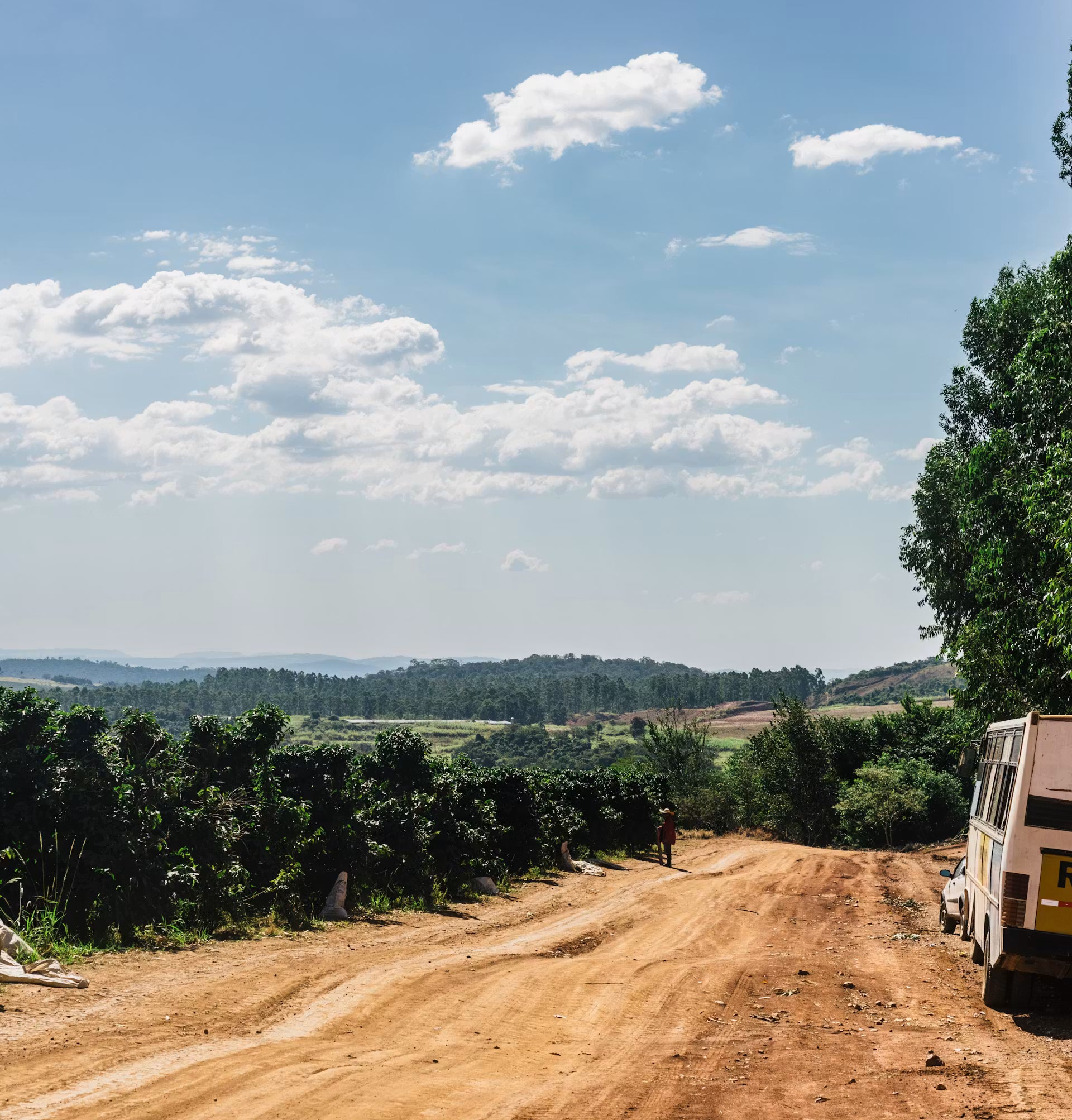 Fazenda Matao - Brazil