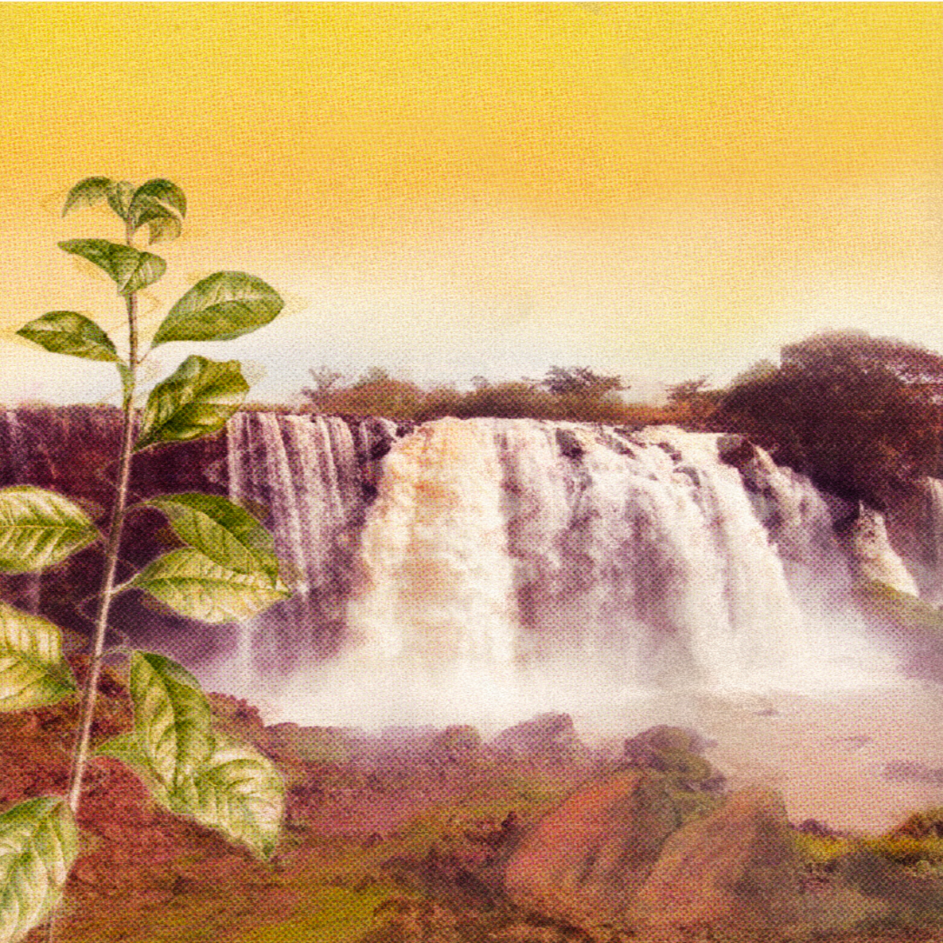Guji Megadu
