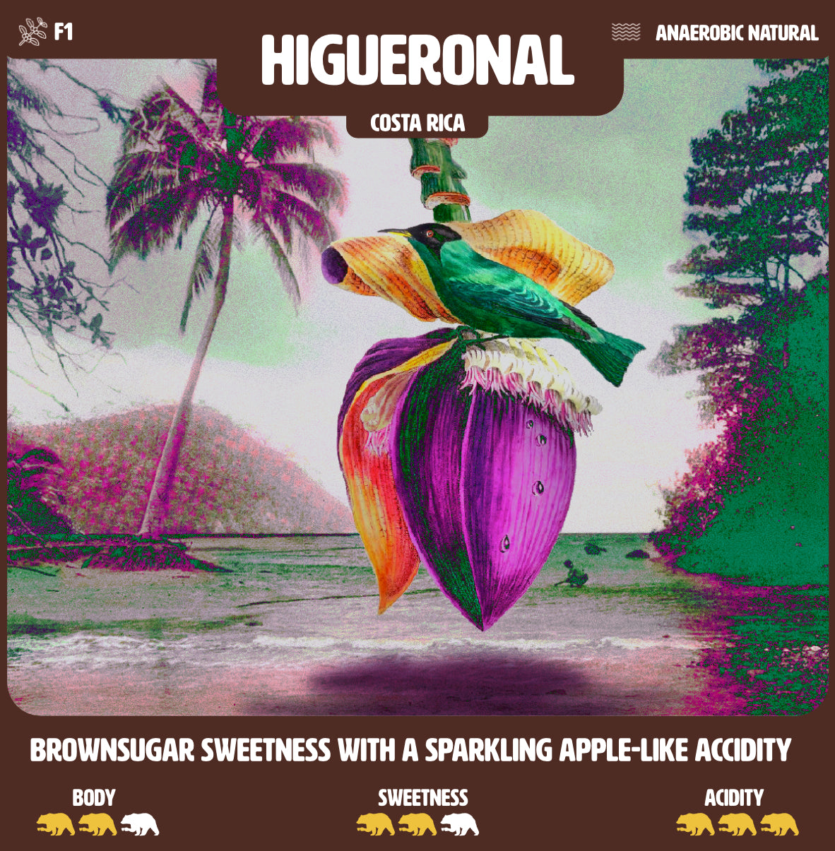 Higueronal - Costa Rica
