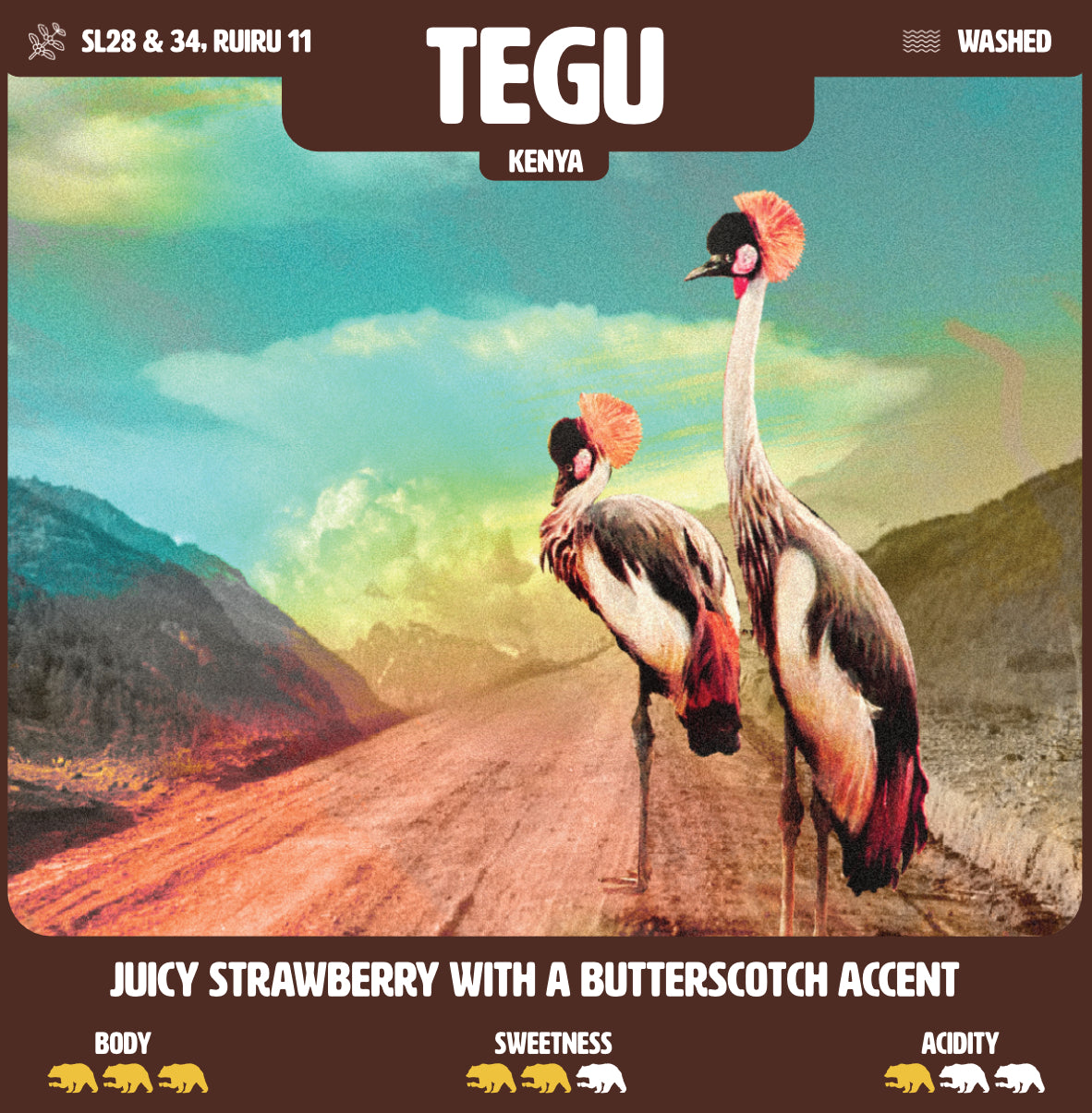 Discover Kenya Tegu, a seasonal Kenyan specialty coffee from Nyeri County. Roasted in Bruges with notes of sweet strawberries and butterscotch.
