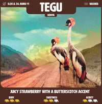 Discover Kenya Tegu, a seasonal Kenyan specialty coffee from Nyeri County. Roasted in Bruges with notes of sweet strawberries and butterscotch.