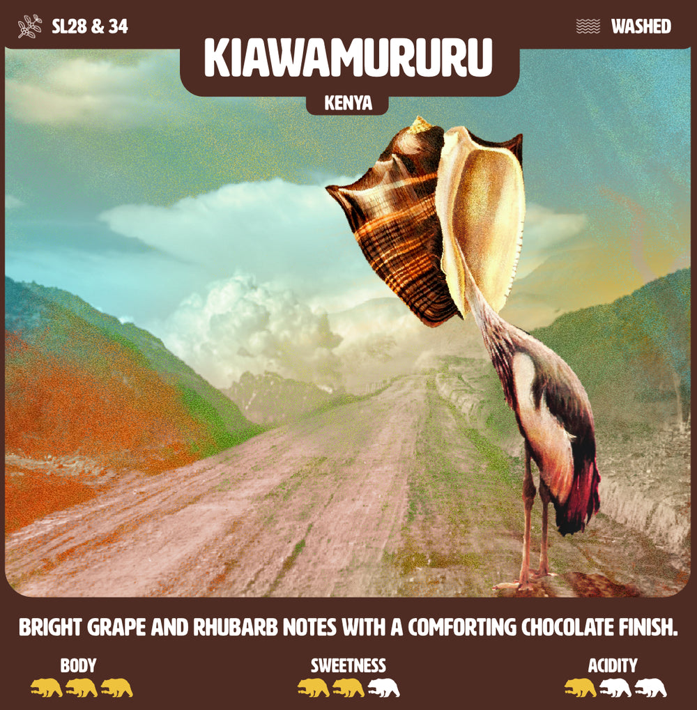 Kiawamururu - Kenya