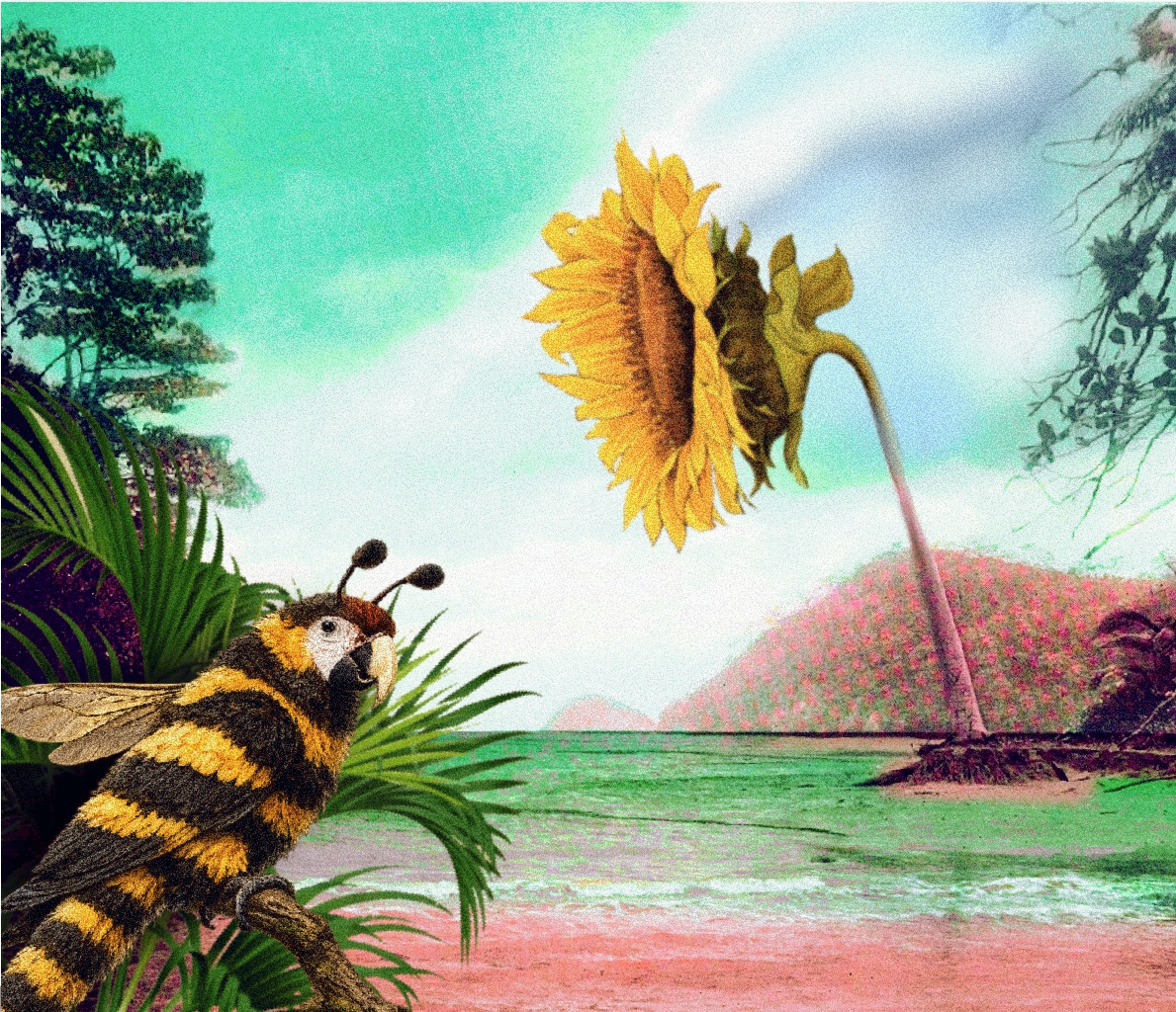 Photo of La Isabella - Costa Rica