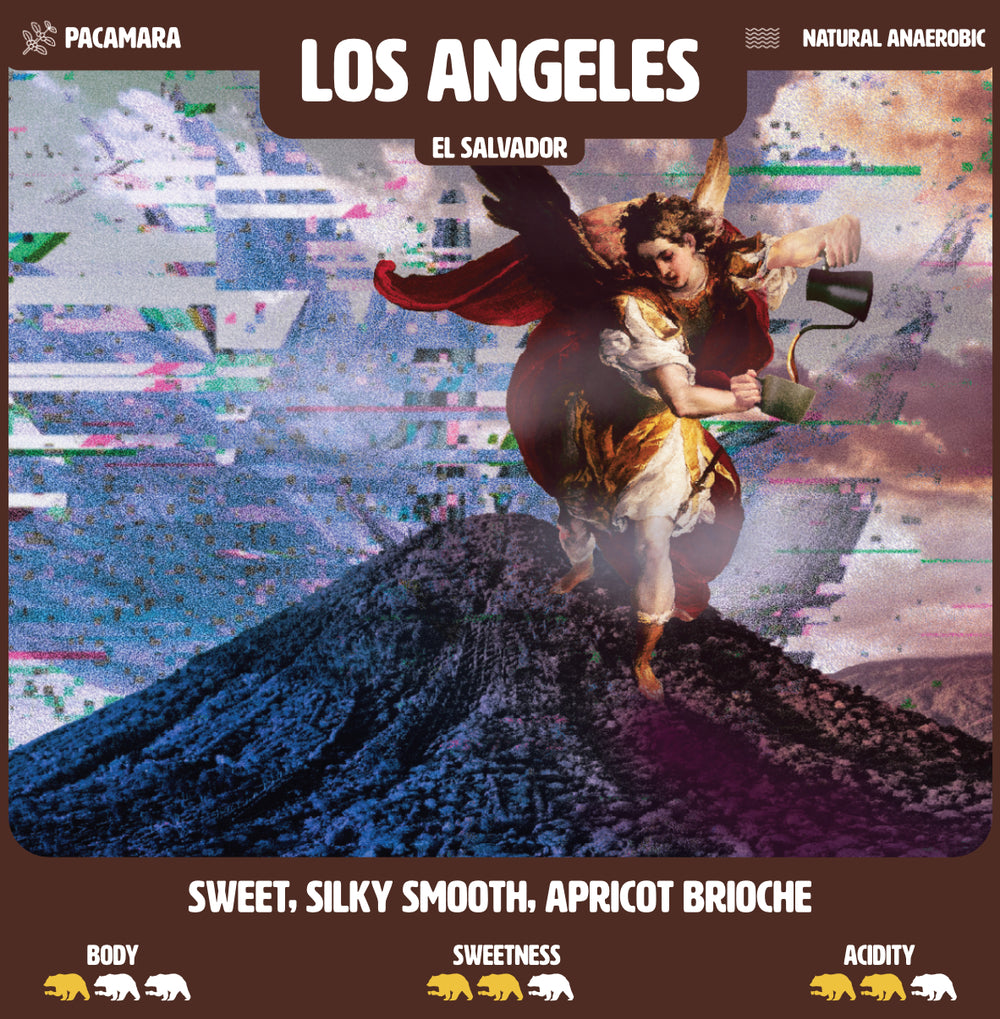 Los Angeles | Pacamara Specialty Coffee from El Salvador