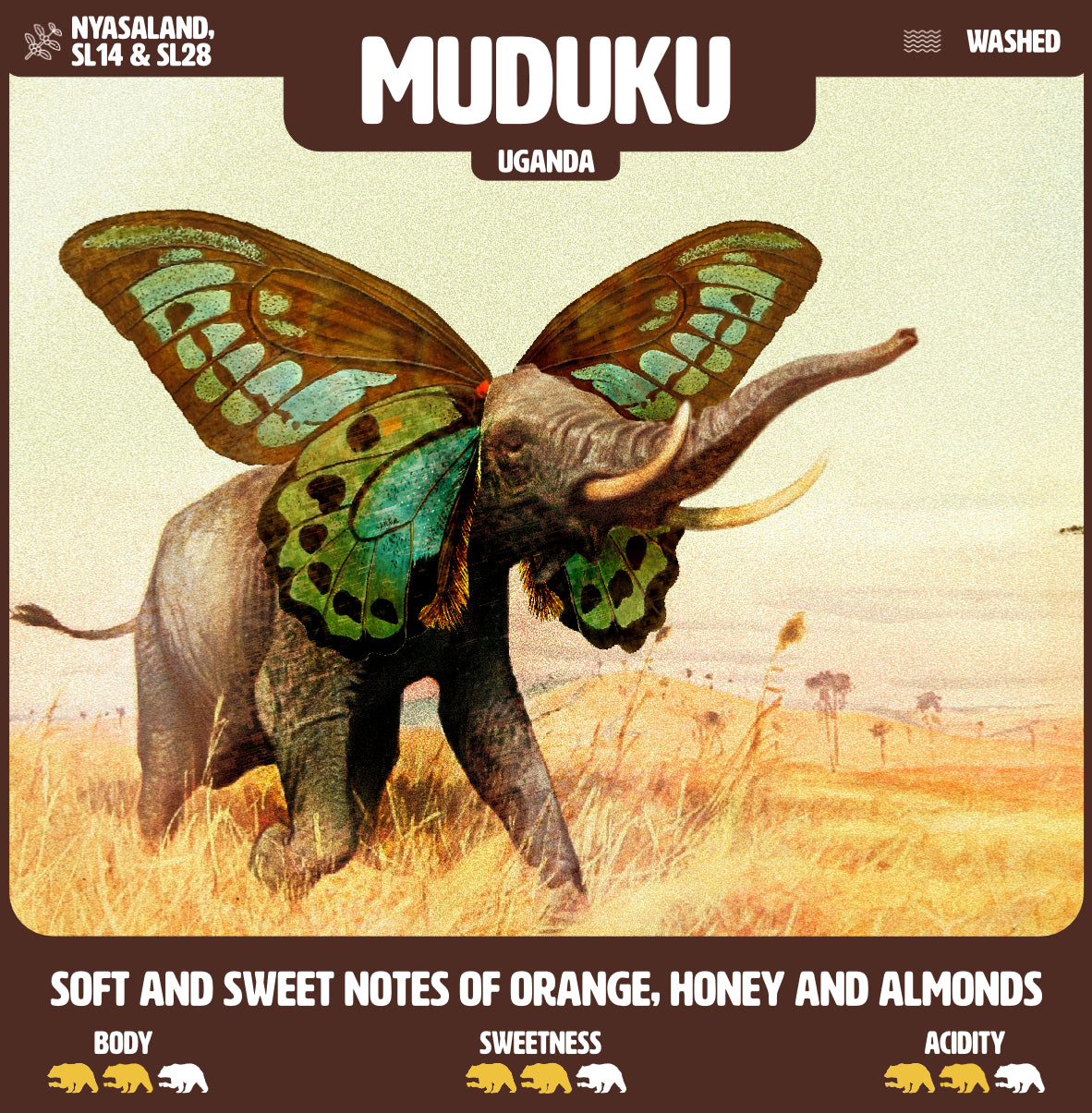 Muduku - Uganda