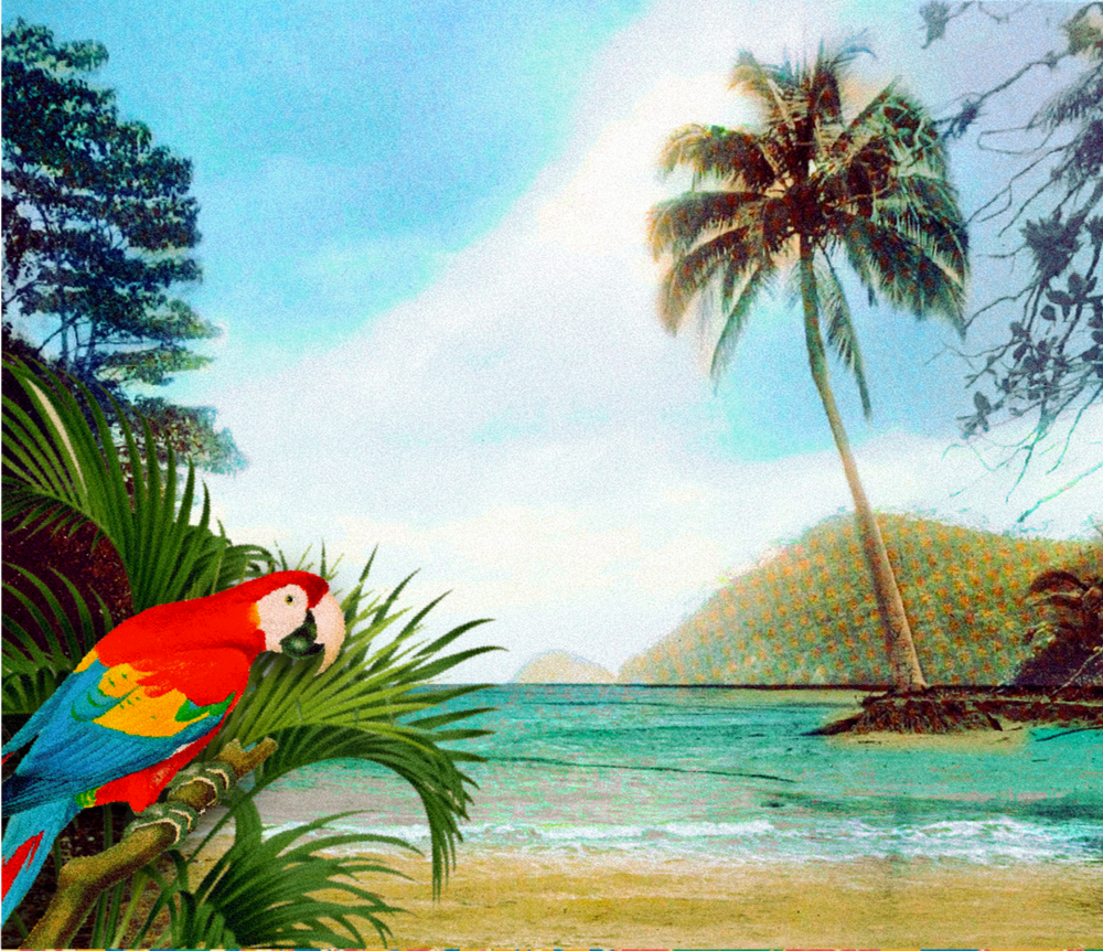Asoproa - Costa Rica -