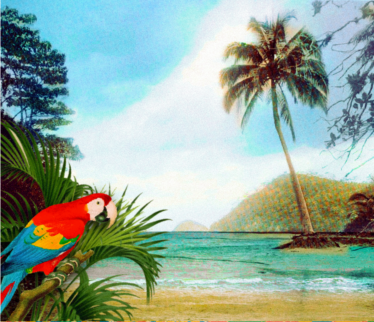 Asoproa - Costa Rica -