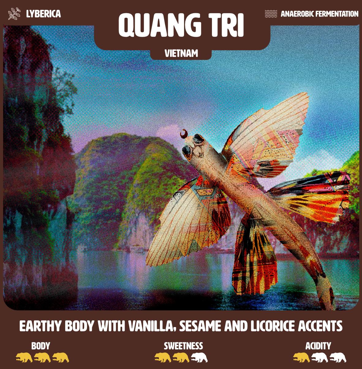 Photo of Quang Tri - Vietnam