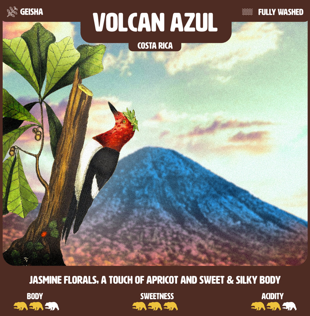 Volcan Azul - Costa Rica