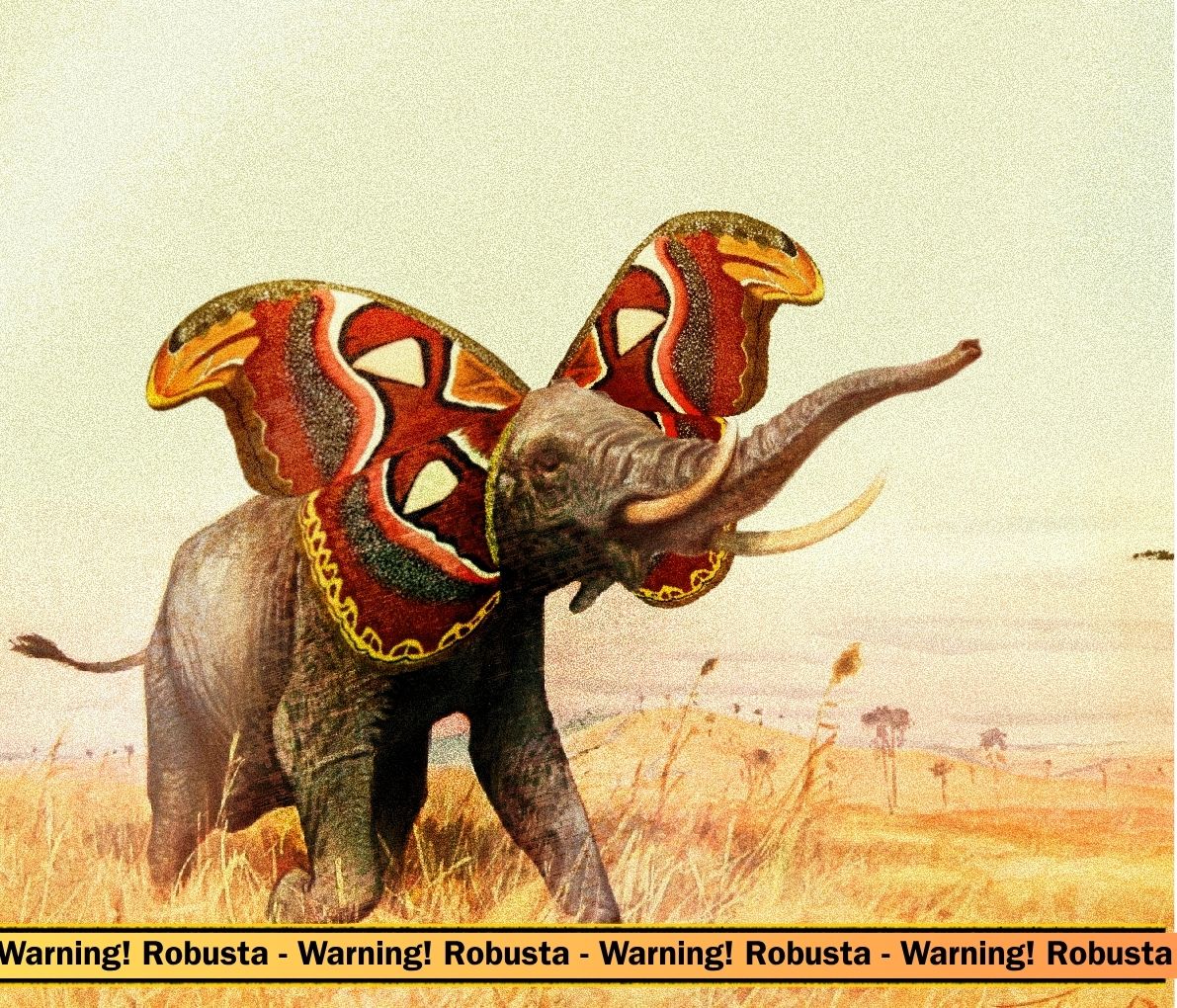 Kitagwenda - Uganda