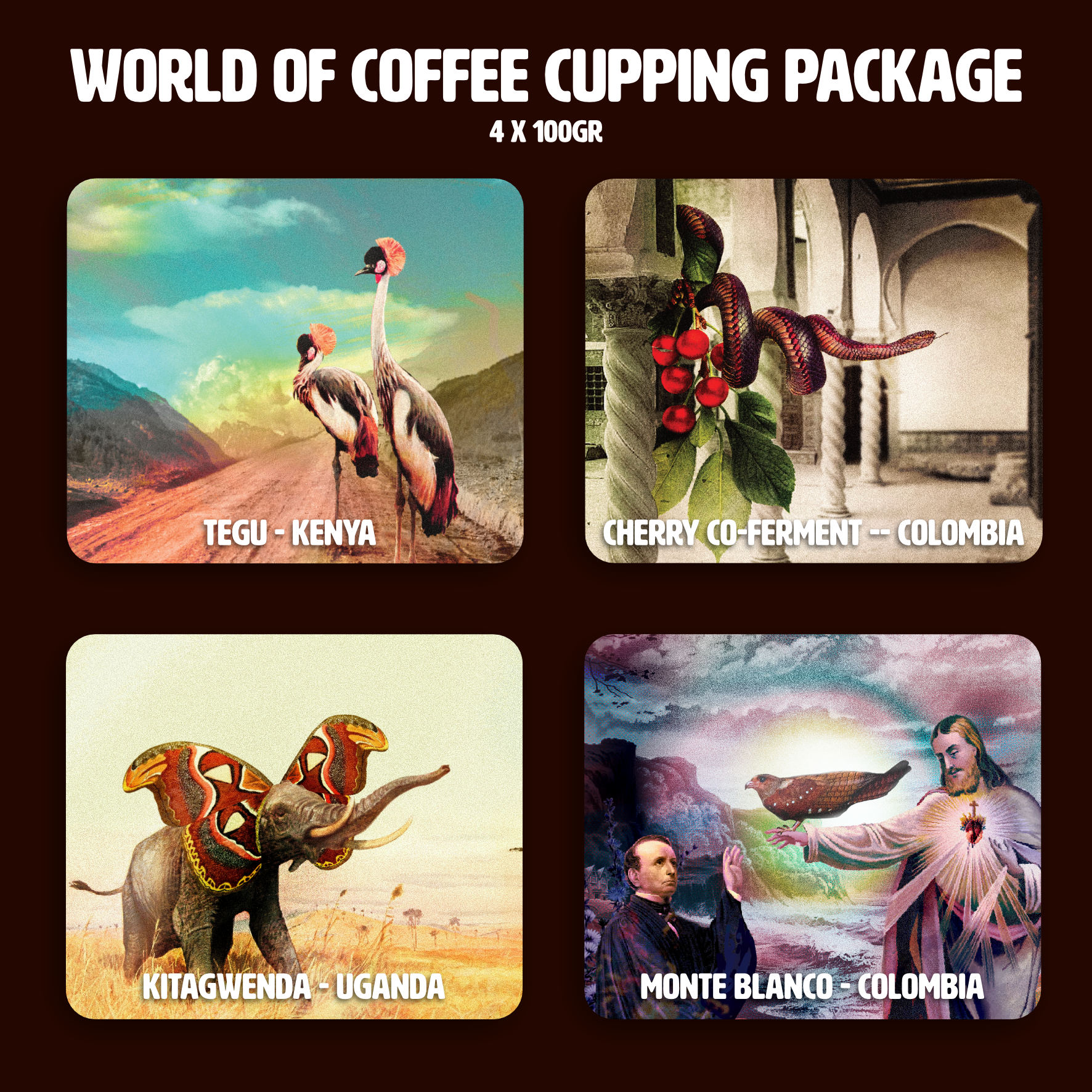 WoC Cupping Package