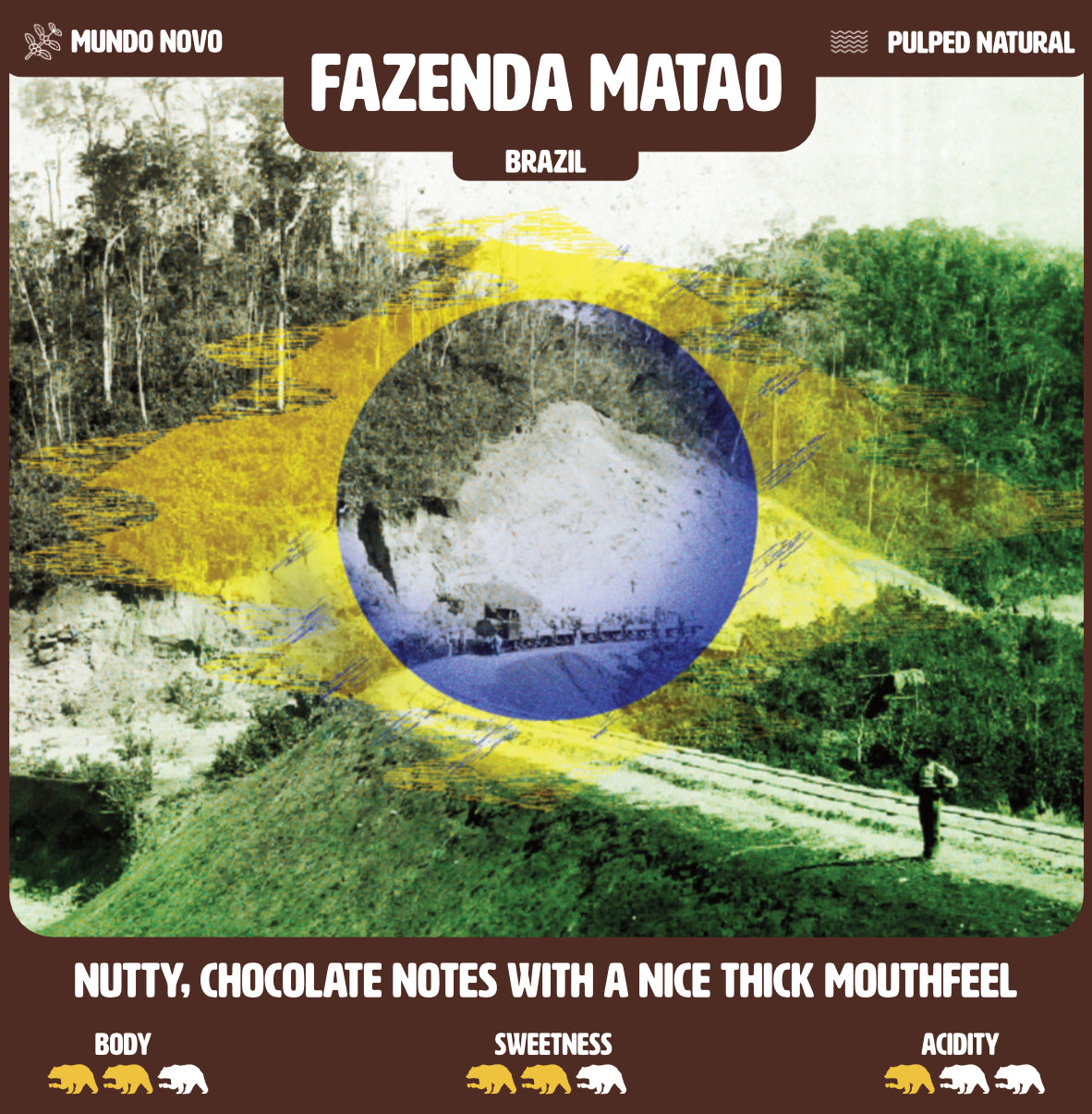 Fazenda Matão specialty coffee from Brazil, roasted in Bruges by Dees Koffiebranders